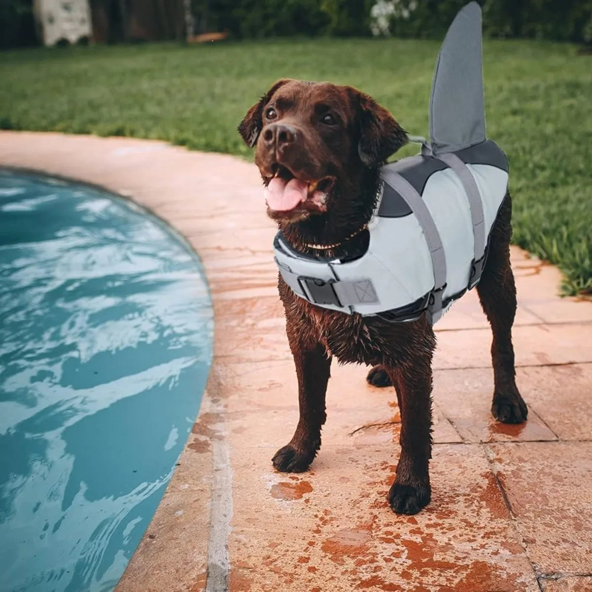 Dogs Life Jacket Adjustable High Buoyancy Pets Swim Vest with Rescue Handle Preserver Flotation Vest for Small Medium Large Dogs