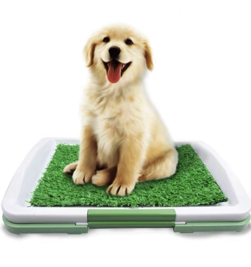 Dog Grass Potty Tray