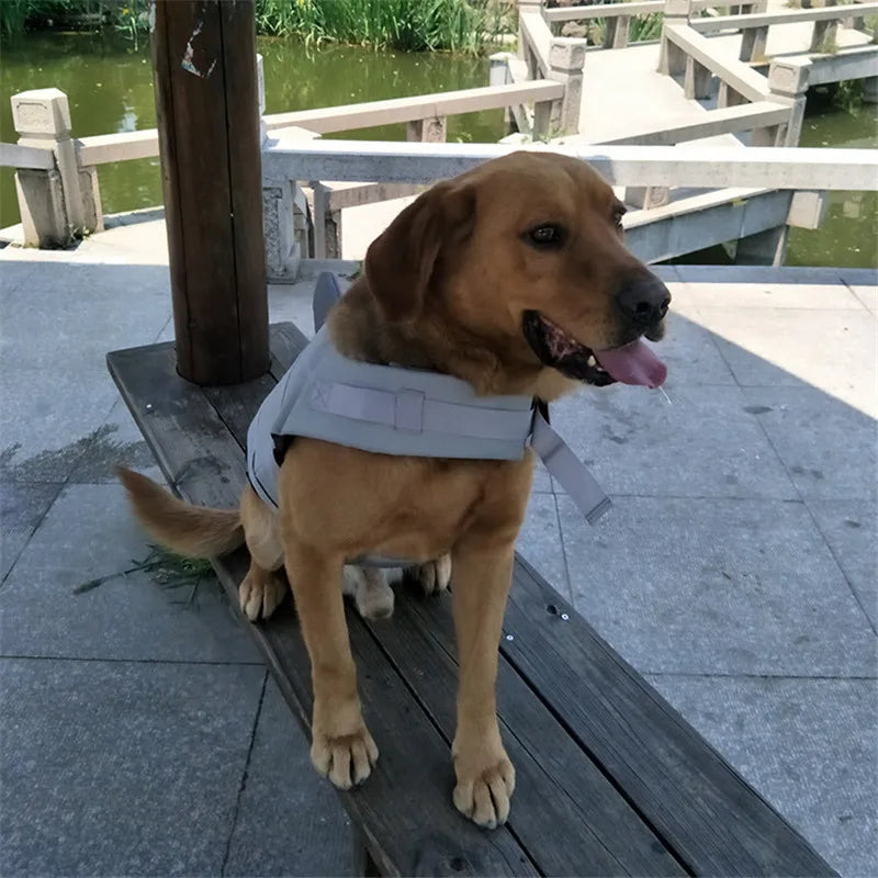 Funny Shark Costume Pet Life Jacket Vest for Medium Large Dogs Summer Beach Big Dog Swimsuit Golden Retriever Mascotas Clothes